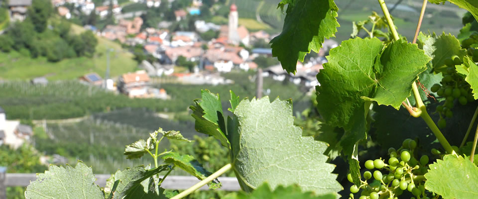 Ausblick Schönleithof